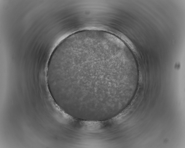 X0000089910856200707201754
