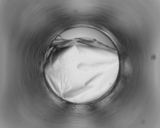 X0000089910857200707201754