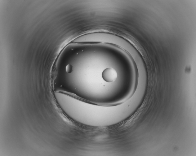X0000089910858200707201754