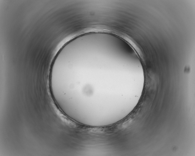 X0000089910861200707201755