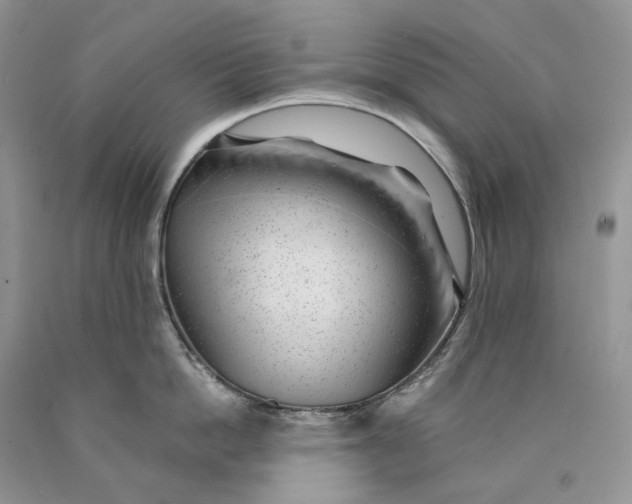 X0000089910862200707201755