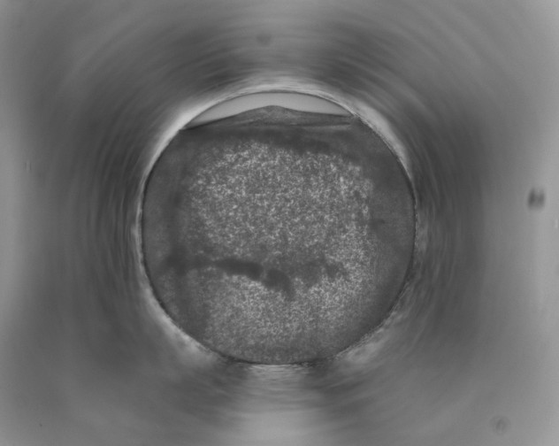 X0000089910863200707201755