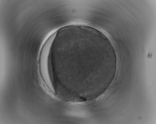 X0000089910864200707201755