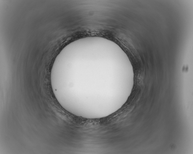 X0000089910865200707201754