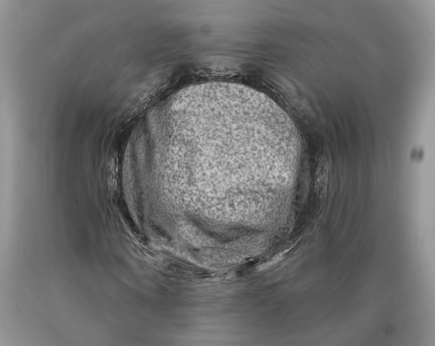 X0000089910866200707201754