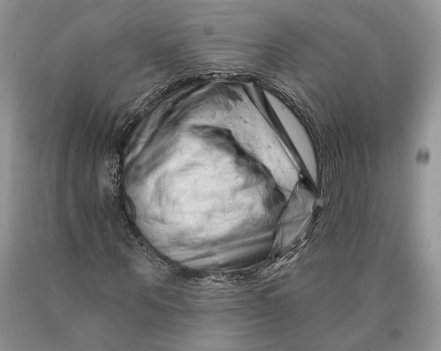 X0000089910867200707201754