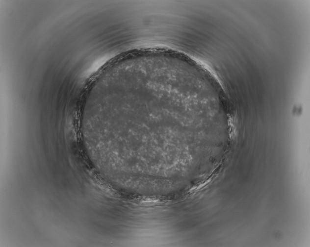 X0000089910871200707201754