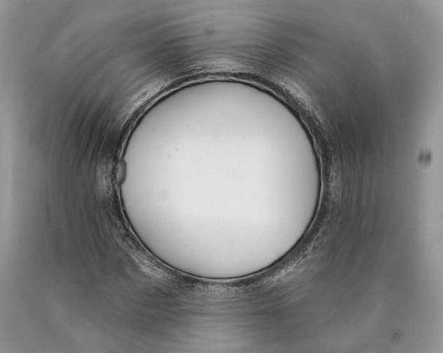 X0000089910873200707201754