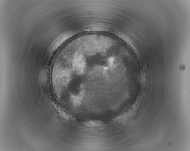 X0000089910874200707201754
