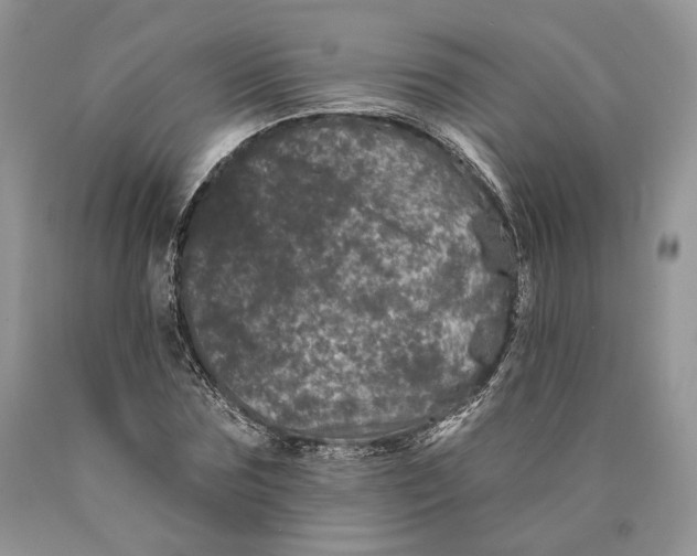 X0000089910875200707201754
