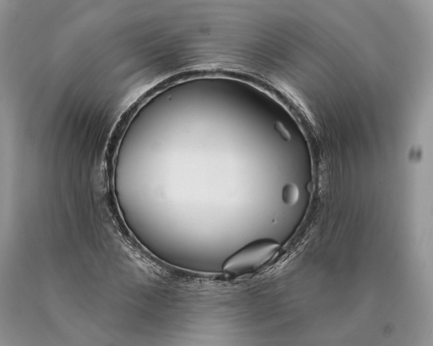 X0000089910876200707201754