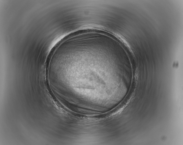 X0000089910877200707201754