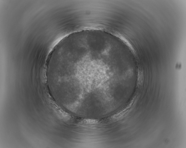 X0000089910878200707201754
