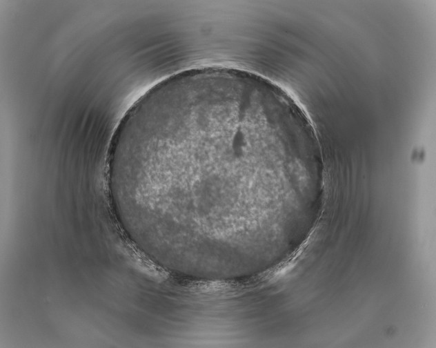 X0000089910879200707201754