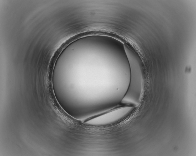 X0000089910880200707201754