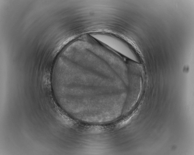 X0000089910881200707201754