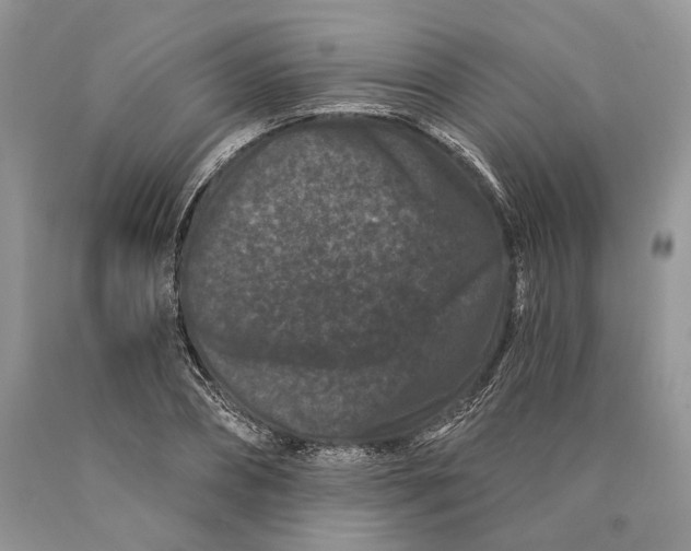 X0000089910882200707201754