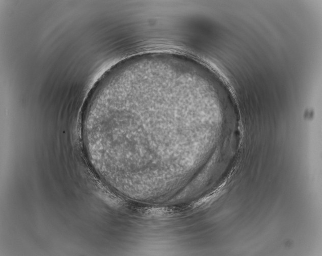 X0000089910883200707201754