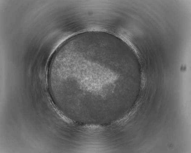 X0000089910886200707201754