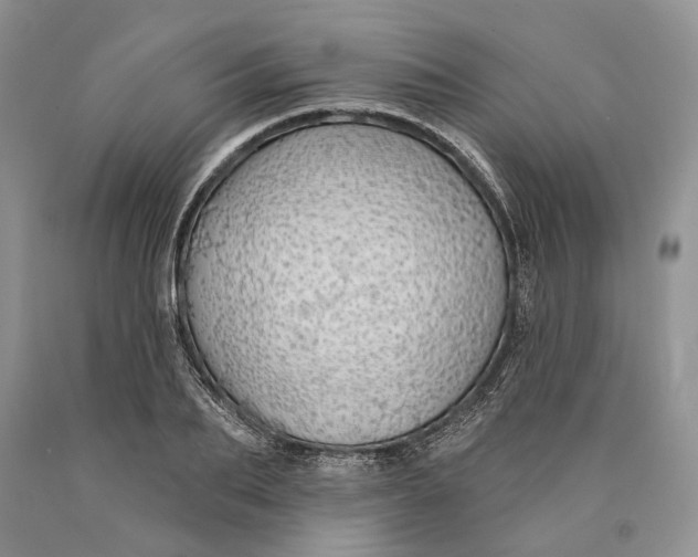 X0000089910887200707201754