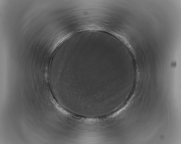 X0000089910889200707201754
