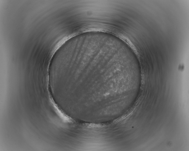 X0000089910890200707201754