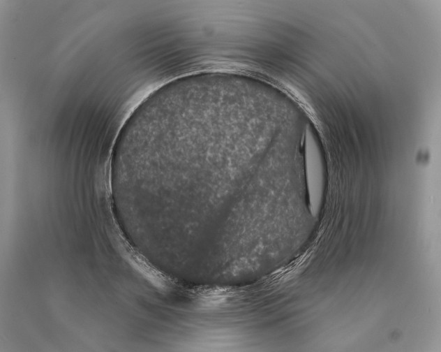 X0000089910891200707201754