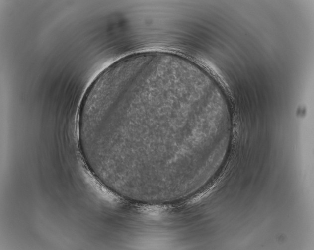 X0000089910892200707201754