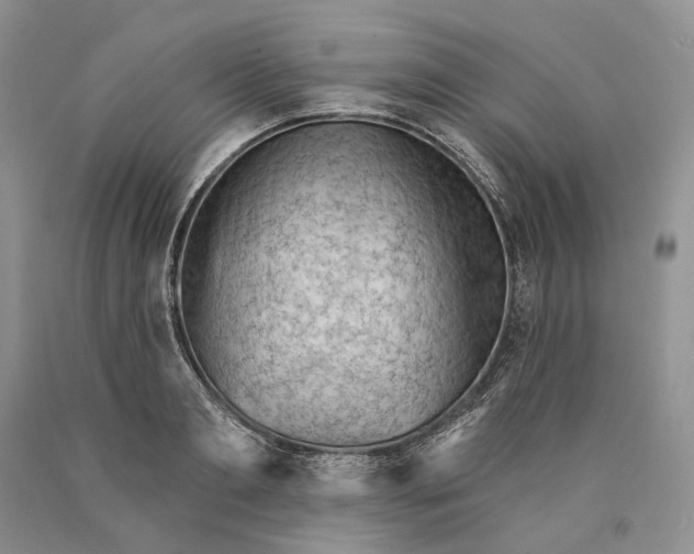 X0000089910893200707201753