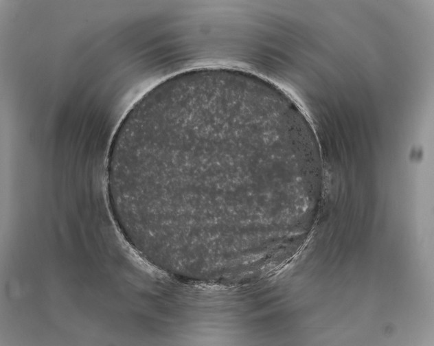 X0000089910895200707201753