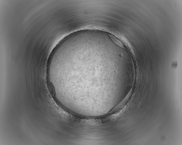 X0000089910896200707201753