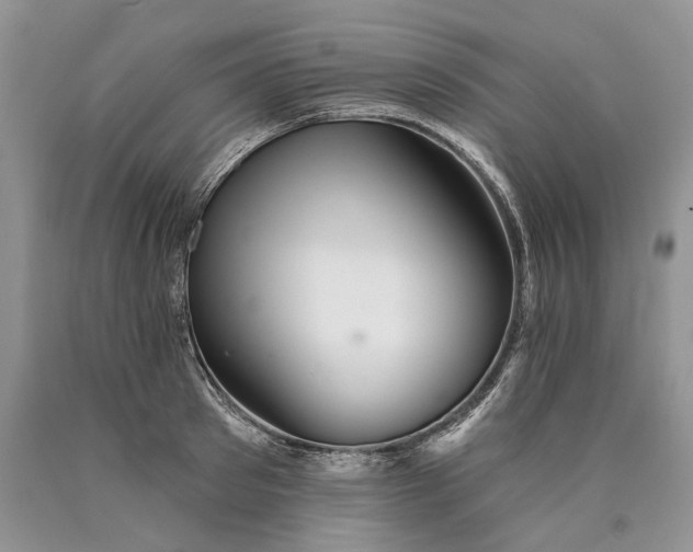 X0000089910897200707201753