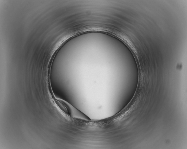 X0000089910898200707201753