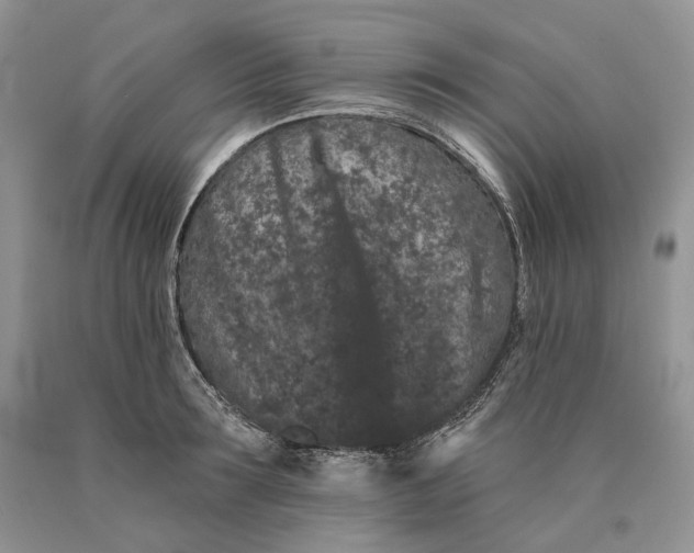 X0000089910899200707201753