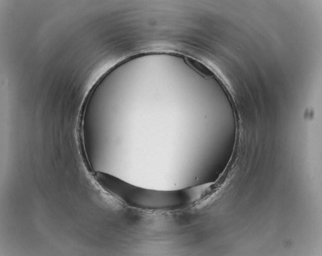 X0000089910901200707201753
