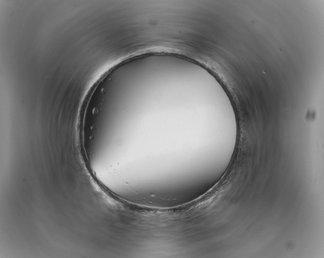 X0000089910902200707201753