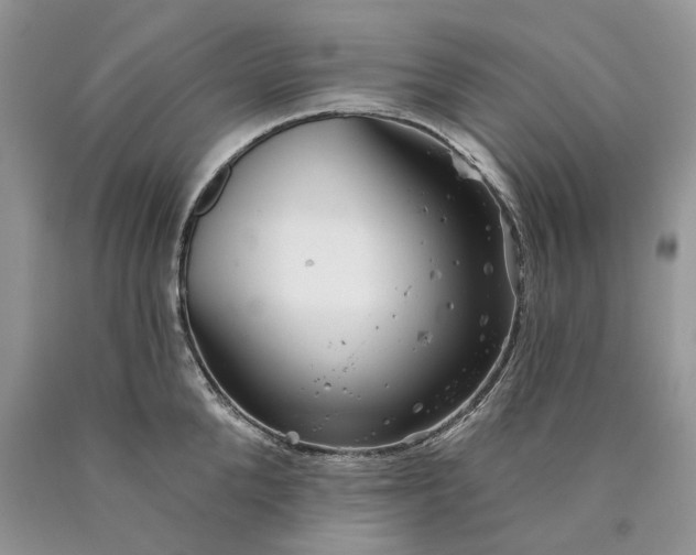 X0000089910904200707201753