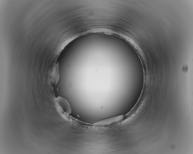 X0000089910905200707201753