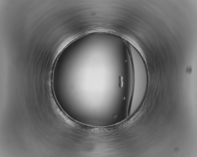 X0000089910906200707201753