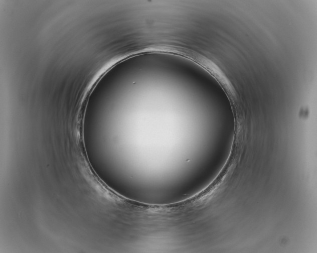 X0000089910908200707201753