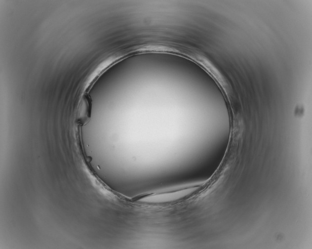X0000089910909200707201753