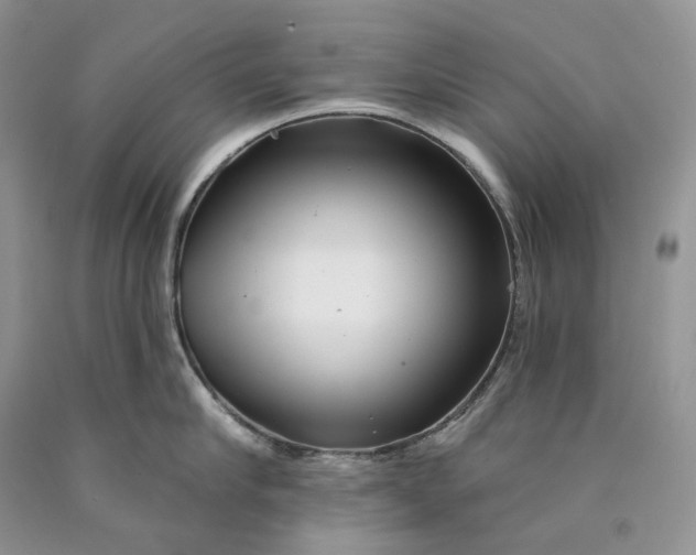 X0000089910910200707201753