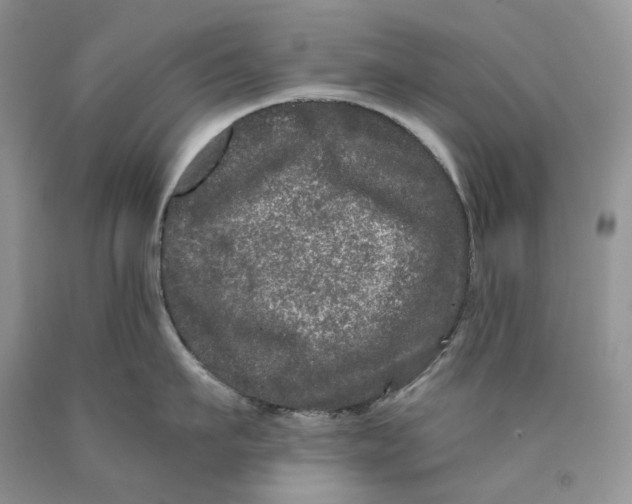 X0000089910911200707201753