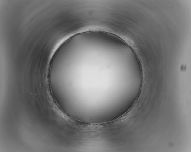 X0000089910912200707201753