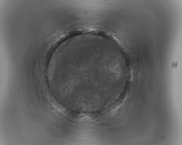 X0000089910913200707201753