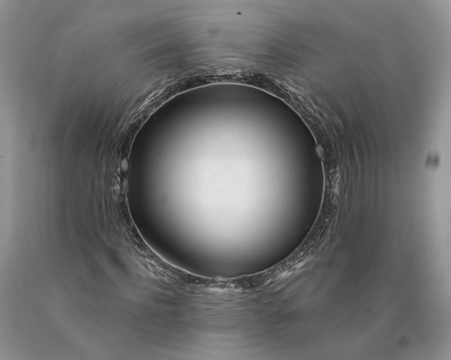 X0000089910916200707201753