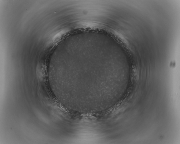 X0000089910918200707201753