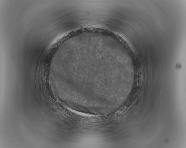 X0000089910919200707201753