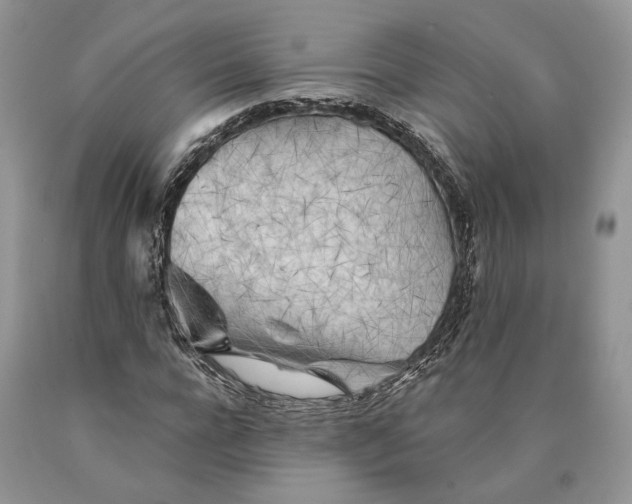 X0000089910920200707201753