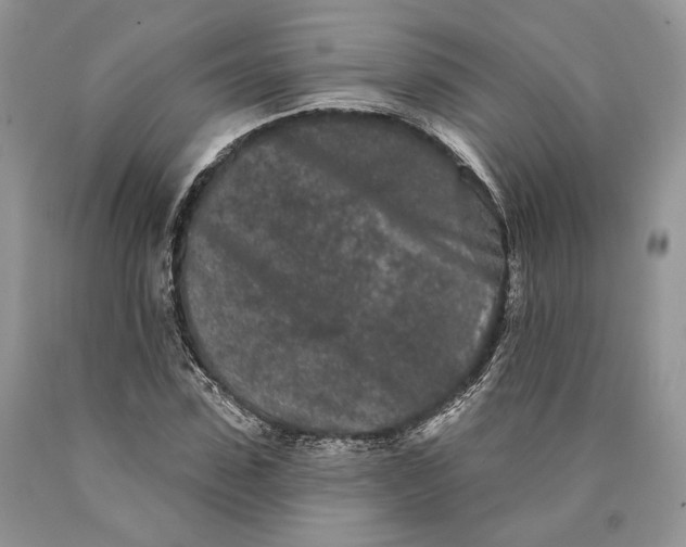 X0000089910923200707201753